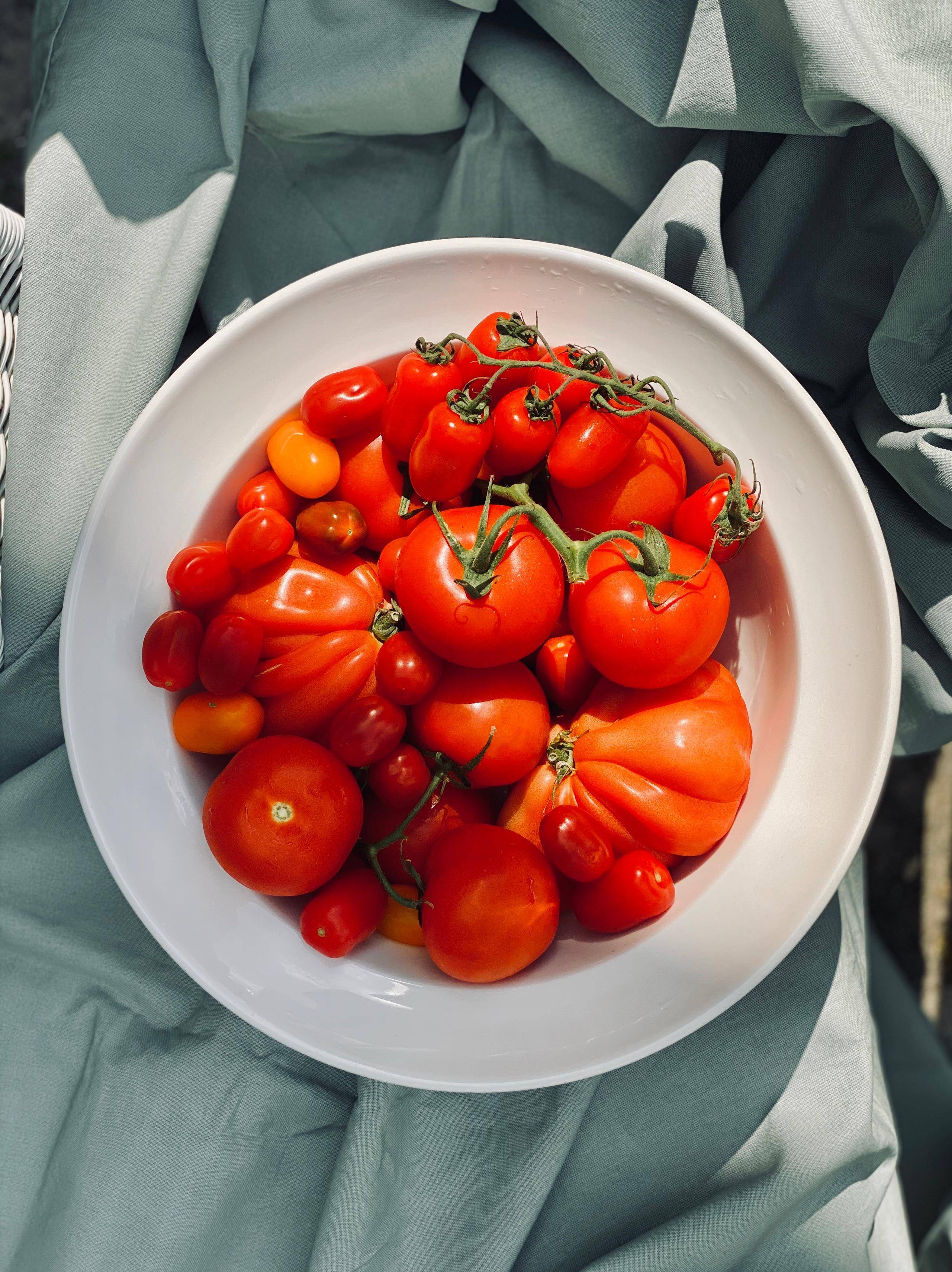 Tomaten-Rezepte